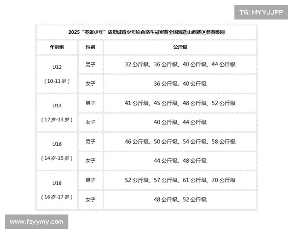 综合格斗赛事级别—综合格斗等级划分 综合格斗赛事级别—综合格斗等级划分